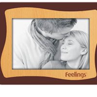 FEELINGS