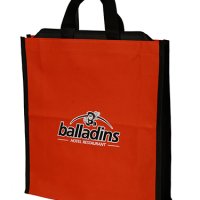 Thaila Balladins